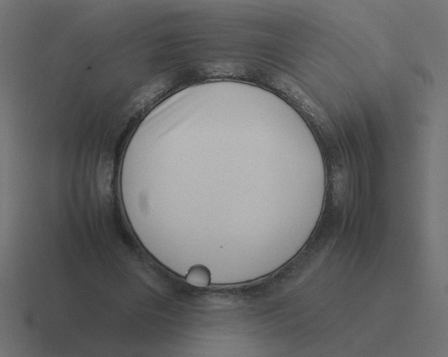 X0000116420490200912291851