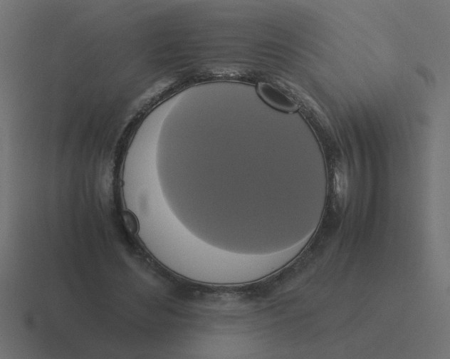 X0000116420492200912291851