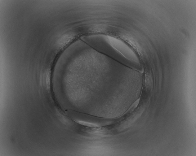 X0000116420493200912291851