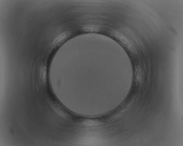 X0000116420494200912291851