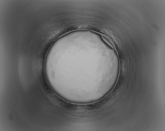 X0000116420495200912291851