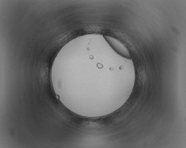 X0000116420498200912291851