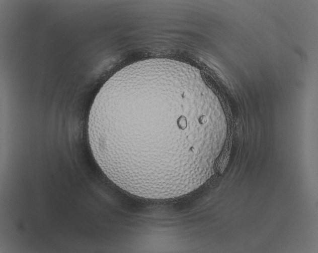 X0000116420499200912291851