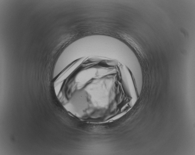 X0000116420501200912291851