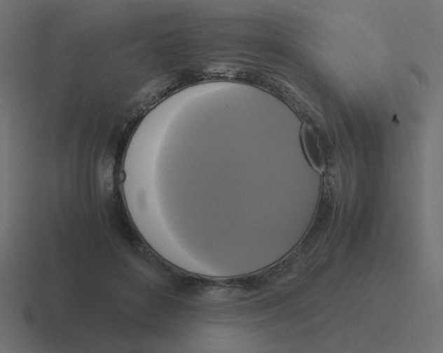 X0000116420504200912291851