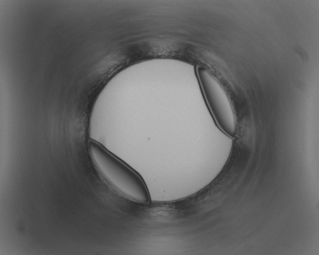 X0000116420505200912291851