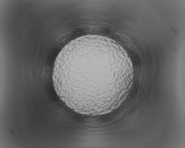 X0000116420511200912291851
