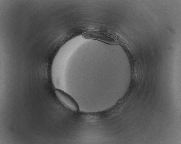 X0000116420512200912291851