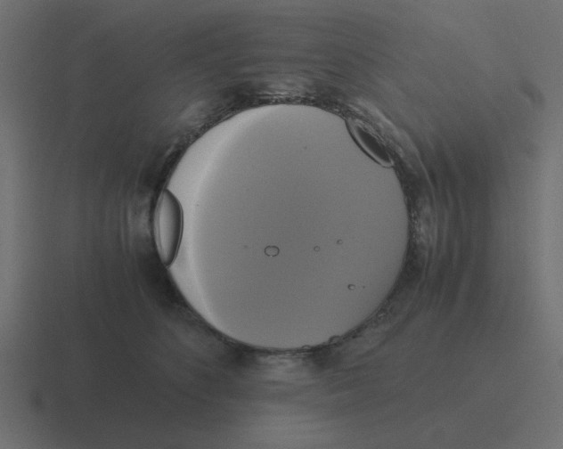 X0000116420516200912291851