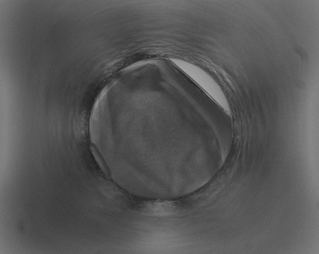 X0000116420517200912291851