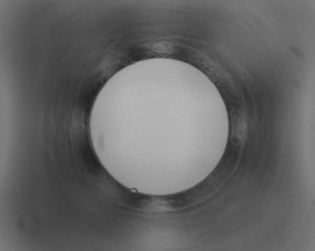 X0000116420518200912291851