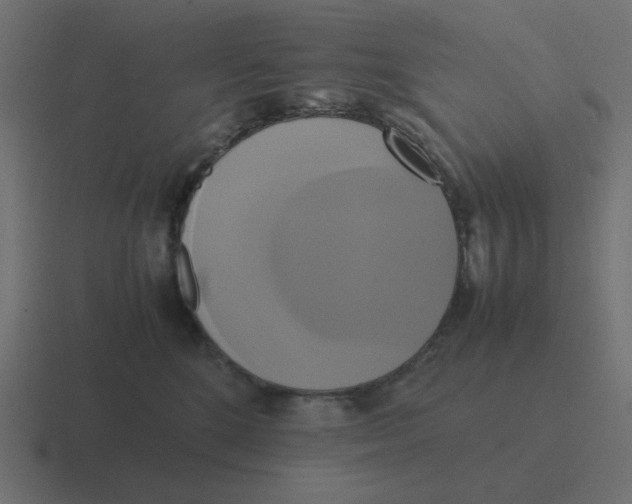 X0000116420520200912291851