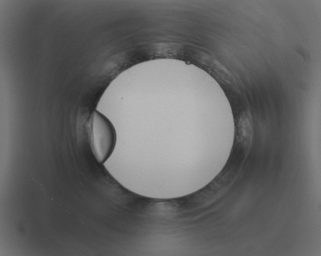 X0000116420522200912291851