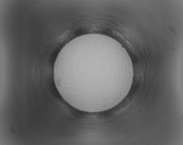 X0000116420523200912291851