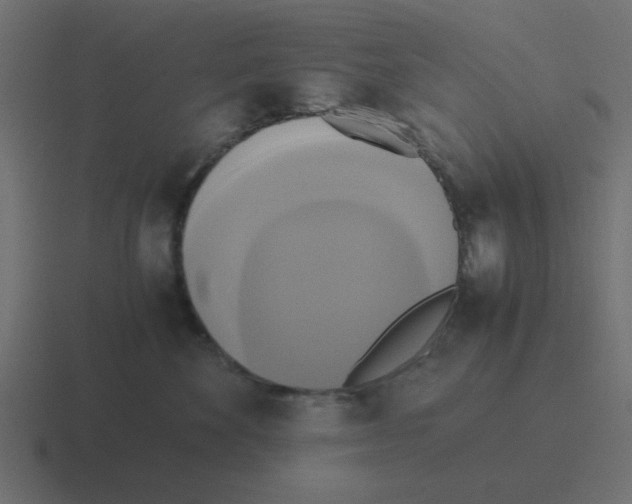 X0000116420524200912291851
