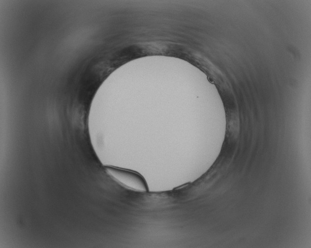 X0000116420525200912291851