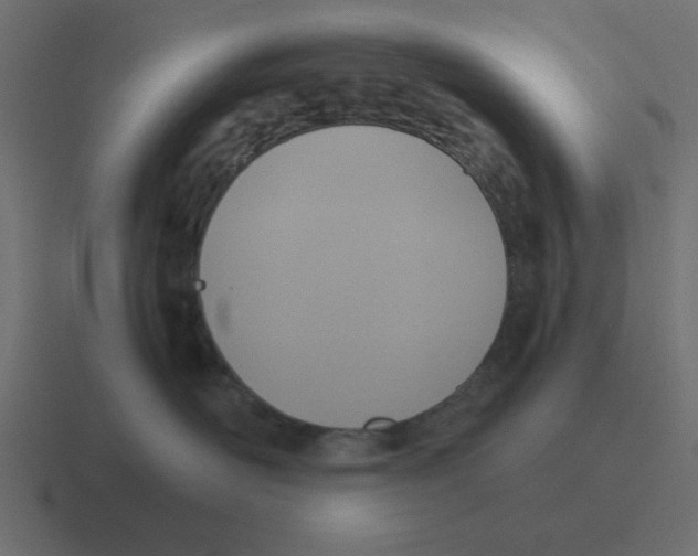 X0000116420526200912291851
