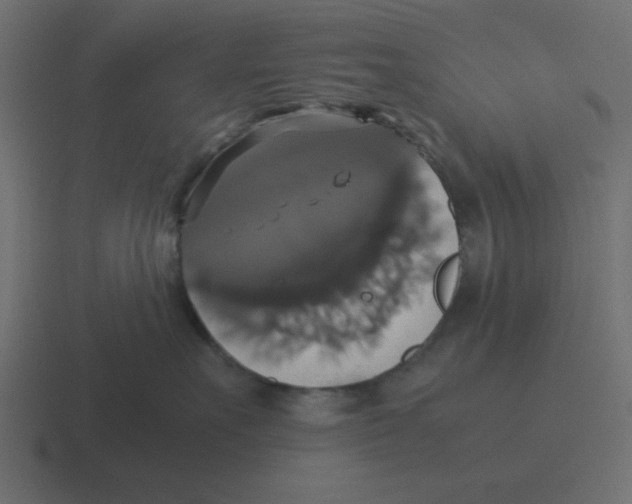 X0000116420527200912291851