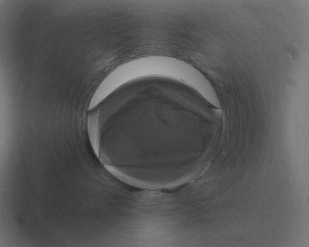 X0000116420528200912291851