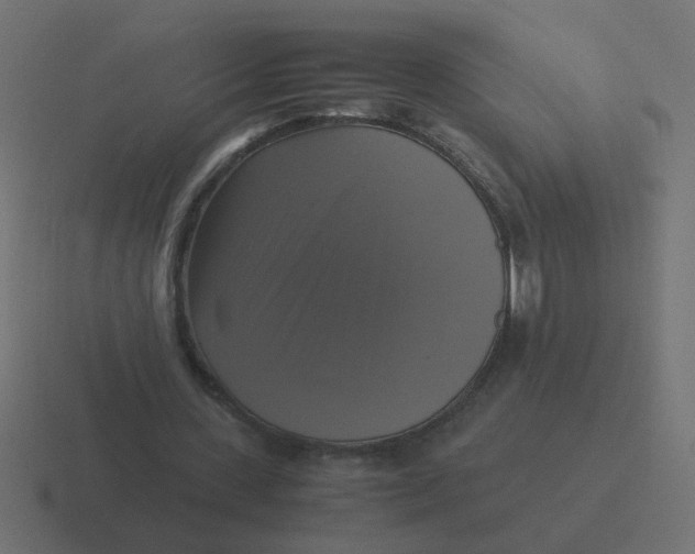 X0000116420531200912291850