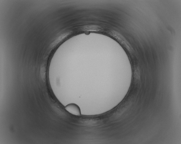 X0000116420533200912291850