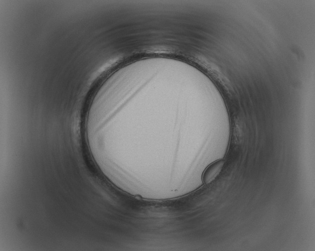 X0000116420535200912291850