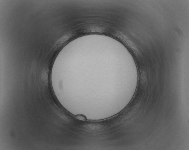 X0000116420537200912291851