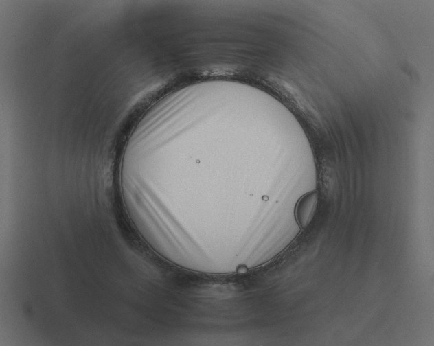 X0000116420543200912291851