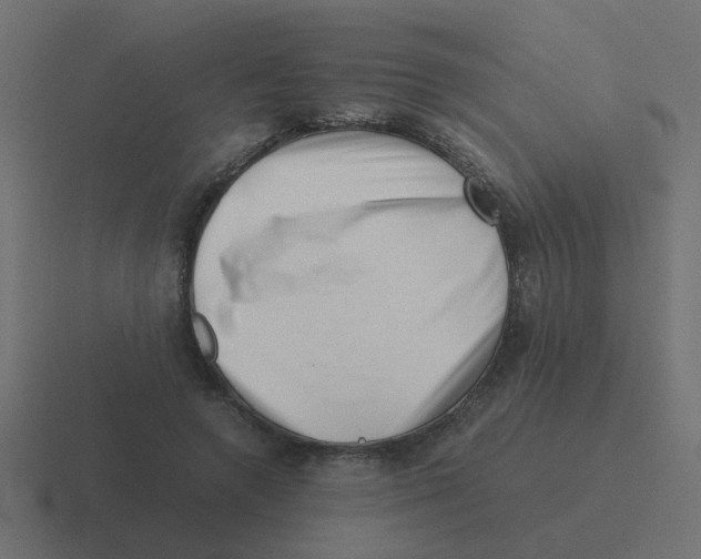 X0000116420546200912291851