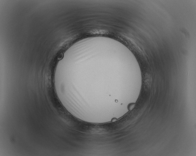X0000116420547200912291851