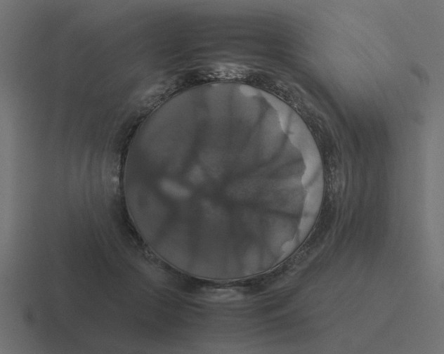 X0000116420553200912291851
