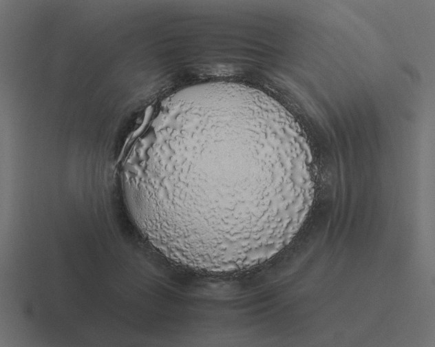 X0000116420555200912291851