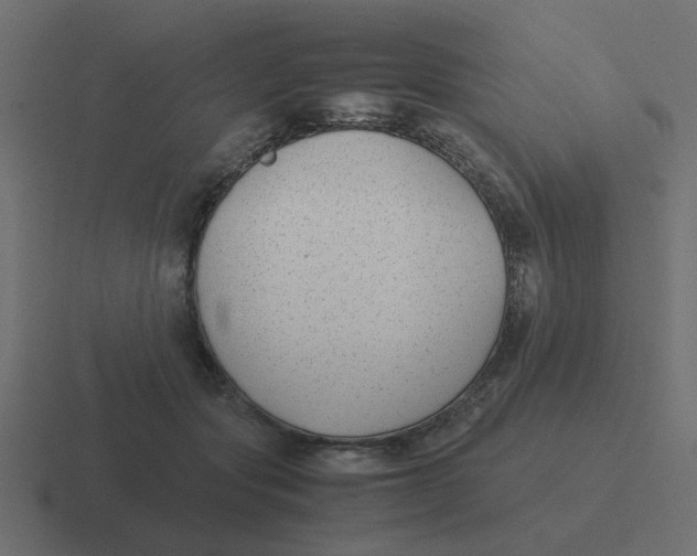 X0000116420557200912291851
