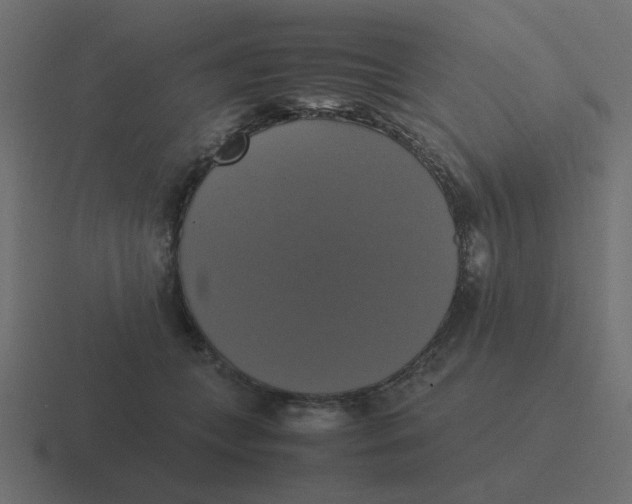 X0000116420559200912291851