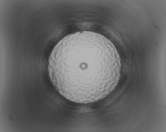 X0000116420561200912291851