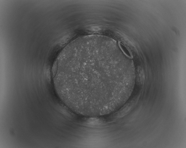 X0000116420562200912291851