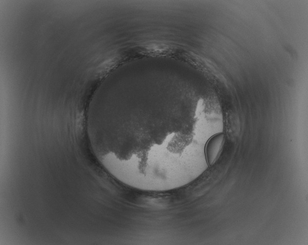 X0000116420563200912291851