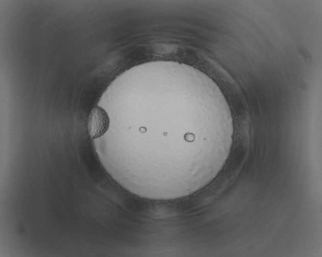 X0000116420565200912291851