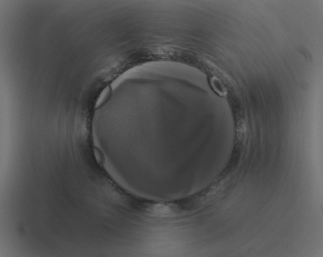 X0000116420566200912291851