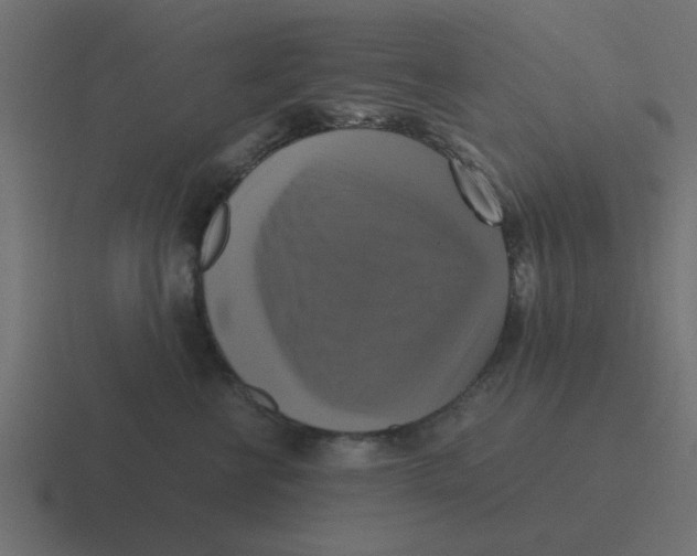 X0000116420570200912291851