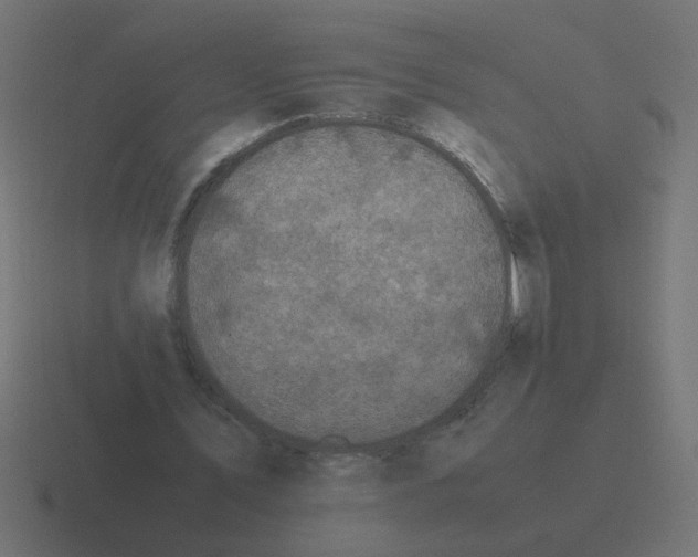 X0000116420579200912291850
