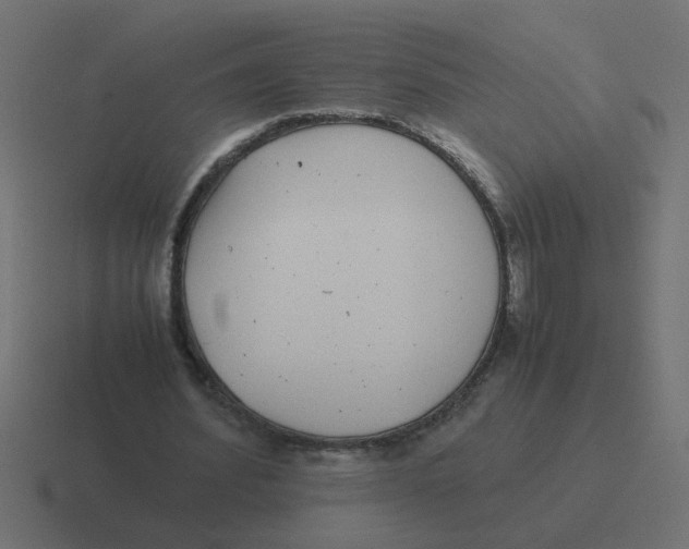 X0000116420580200912291850