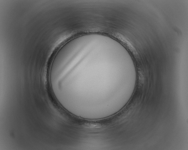 X0000116420582200912291850