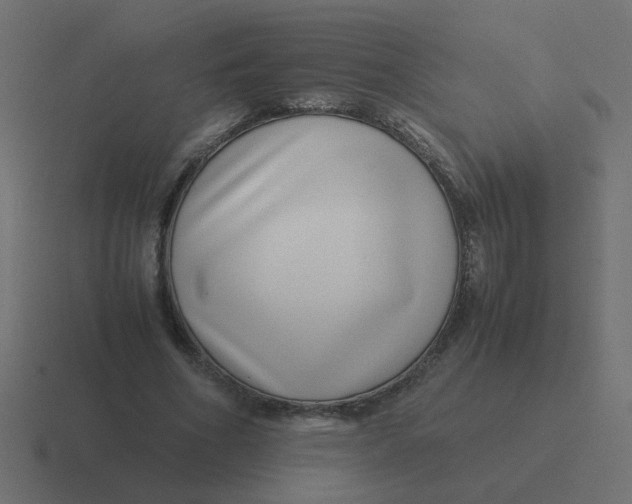 X0000116420586200912291850