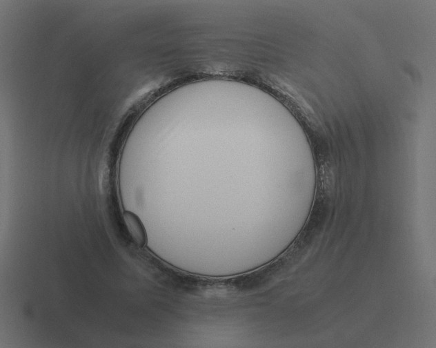X0000116420587200912291850