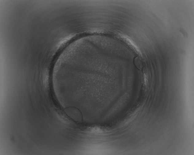 X0000116420588200912291850