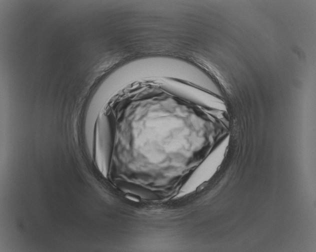 X0000116420589200912291850