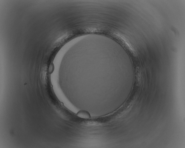 X0000116420590200912291850