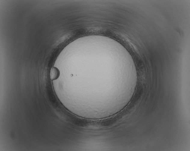 X0000116420591200912291850