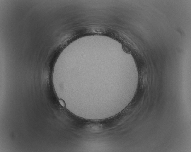 X0000116420595200912291850